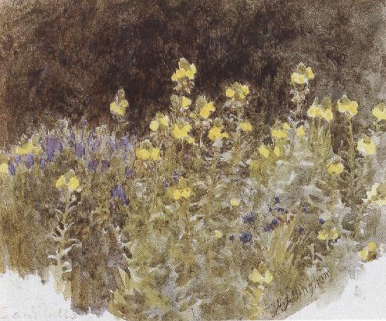 Helen Allingham,R.W.S Studies of Flowers (mk37) Germany oil painting art